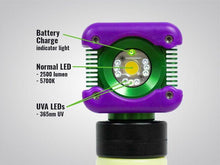 Load image into Gallery viewer, BODYLight™ Explosion Proof UVA Inspection Light