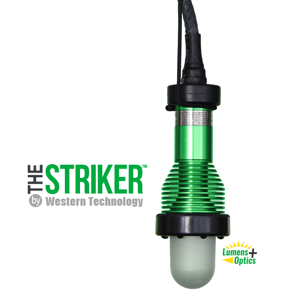 STRIKER™ A-Model LED Lighthead w/ 50ft 14/3 SOOW cable, NON-EXP Proof