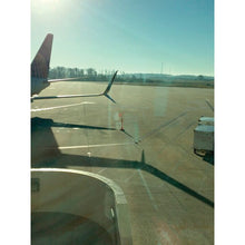 Load image into Gallery viewer, Airplane Scimitar &amp; Winglet Protector | Wing Whip | DELFS3OBWUNI - DELFS3OBWUNI - image 3