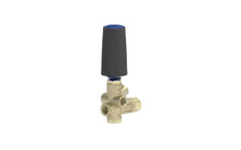Load image into Gallery viewer, MTM Hydro BRV31 Unloader Easy Start NPT 3,200 PSI - 18.0407