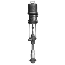 Load image into Gallery viewer, Graco 256713 10:1 Ratio President Pump with 1.5 in (38.1 mm) Female Inlet
