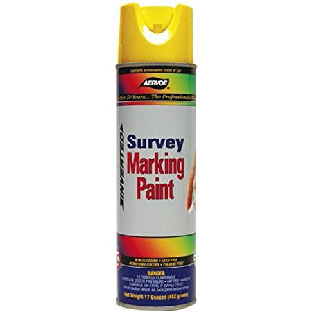 CLEAR MARKING PAINT 12 CN / CA