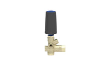Load image into Gallery viewer, MTM Hydro BRV31 Unloader Easy Start NPT 3,200 PSI - 18.0407