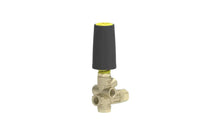 Load image into Gallery viewer, MTM Hydro BRV31 Unloader Easy Start NPT 2,320 PSI - 18.0406