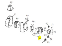 Load image into Gallery viewer, Heater Motor with Capacitor, 100W 120V 60Hz, for Flame 115 Heater