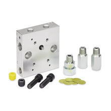 Load image into Gallery viewer, Graco 563323 Remote Pump Manifold (NPT) with Outlet Check Valve for Modu-Flo Pumps, System Fill Check Valve, Blowout Assembly