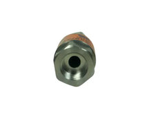 Load image into Gallery viewer, MTM Hydro Stainless Steel 3/8" Check Valve - 20.0300