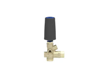 Load image into Gallery viewer, MTM Hydro BRV31 Unloader Easy Start NPT 3,200 PSI - 18.0407