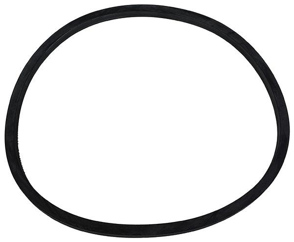 Apollo A4904  2.5 gallon pressure pot gasket 