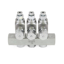 Load image into Gallery viewer, Graco GL-42™ Oil Injector, Carbon Steel, 3 Injector Manifold, 1/8 BSPP x 6 mm