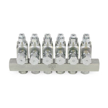 Load image into Gallery viewer, Graco GL-42™ Oil Injector, Carbon Steel, 6 Injector Manifold, 1/8 BSPP x 6 mm