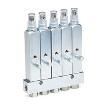 Load image into Gallery viewer, Graco GL-1™ X Grease Injector, Five Point