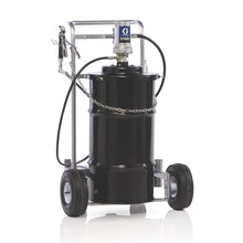 Load image into Gallery viewer, Graco LD Series 50:1 120 lb (54 kg) Grease Cart Mounted Pump Package - BSPP