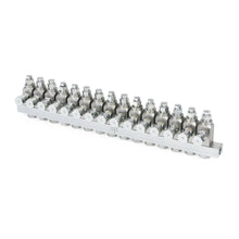 Load image into Gallery viewer, Graco GL-33™ Grease Injector, Stainless Steel, 15 Injector Manifold, 1/8 NPT x 1/8