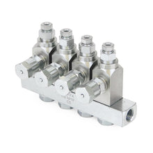 Load image into Gallery viewer, Graco GL-33™ Grease Injector, Stainless Steel, 4 Injector Manifold, 1/8 BSPP x 6 mm