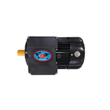 Load image into Gallery viewer, DG500-31 Motor, for DG-500 Disc Grinder