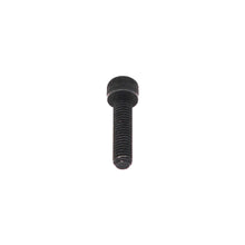 Load image into Gallery viewer, BS350M-117-2 Hex Socket Cap Screw (M6x25), for BS-350M Saw
