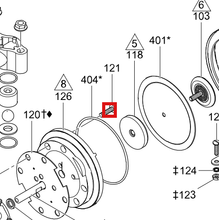 Load image into Gallery viewer, Graco D03005 TPE (Hytrel) Diaphragm Kit for 3/8-inch Pump - highlighted in parts diagram