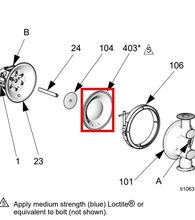 Load image into Gallery viewer, Graco D07008 FKM (Viton) Diaphragm Kit for 1-inch Pump - highlighted in parts diagram
