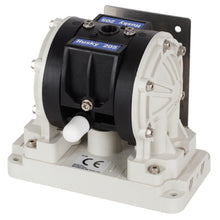 Load image into Gallery viewer, Graco D150A6 Husky 205 PVDF Pump, PP Center Section, PVDF Balls &amp; SP Diaphragm