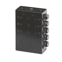 Load image into Gallery viewer, Graco CSP Divider Valve, 1/8 inch NPT, 20 Outlets