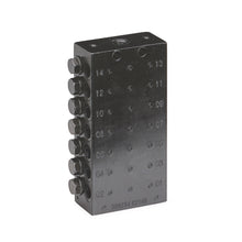 Load image into Gallery viewer, Graco CSP Divider Valve, 1/8 inch NPT, 14 Outlets