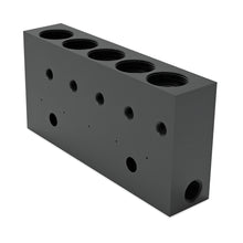 Load image into Gallery viewer, Graco GCI™ Series 5-Point Standard-Pressure Grease Injector Manifold