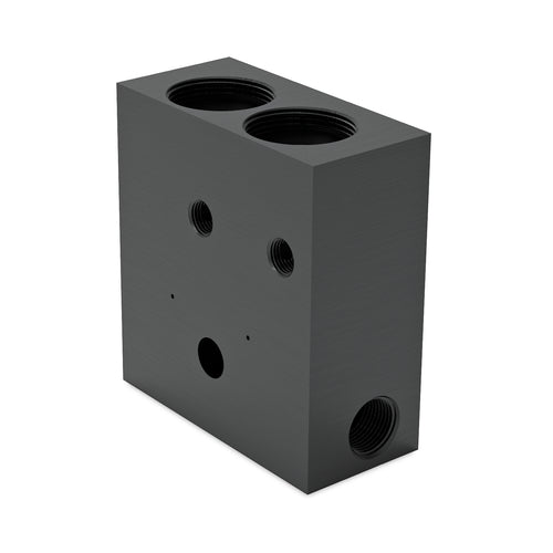 Graco GCI™ Series 2-Point Standard-Pressure Grease Injector Manifold