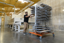 Load image into Gallery viewer, PaintLine PDRAD ProDryingRack AD - Twin-Tower Adjustable-Depth Rack w/Casters