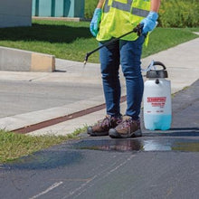 Load image into Gallery viewer, Chapin® Handheld Pro Poly Sprayer