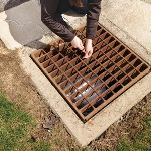 PIG® Storm Drain Skimmer Squid