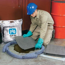 Load image into Gallery viewer, PIG® Spill Pack