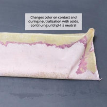 Load image into Gallery viewer, PIG® Acid Neutralizing Absorbent Sock