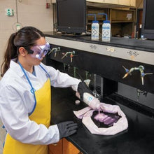 Load image into Gallery viewer, PIG® Acid Neutralizing Absorbent Sock