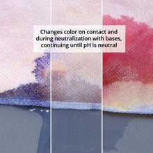 Load image into Gallery viewer, PIG® Base Neutralizing Absorbent Pillow