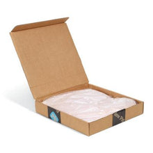 Load image into Gallery viewer, PIG® Base Neutralizing Absorbent Pillow