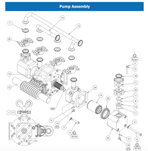 Load image into Gallery viewer, Binks - 192206 1&quot; SANITARY GASKET - PTFE - EA