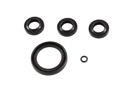 Annovi Reverberi AR2591 Oil Seal Kit