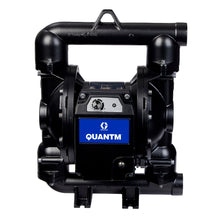 Load image into Gallery viewer, Graco TE120-0202 QUANTM i120, 2"NPT, Cast Iron Electric Diaphragm Pump, 200-240 V, AL Center, GE Seat, GE Ball, GE Diaphragm