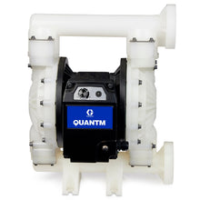 Load image into Gallery viewer, Graco TE120-0219 QUANTM i120, 2"Flange, Cond Poly Electric Diaphragm Pump, 200-240 V, AL Center, PP Seat, PT Ball, PS Diaphragm