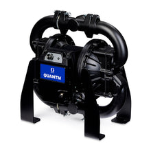 Load image into Gallery viewer, Graco TE120-0289 QUANTM i120LP, 2" BSPT, Aluminum Electric Diaphragm Pump, 200-240 V, AL Center, FB Seat, Flap Valve, CR Diaphragm