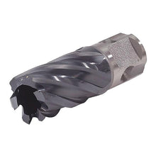 Load image into Gallery viewer, Walter Core Cutter Universal Shank, 1-1/8"X1"