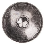 (25) BLACK ZINC TORX TRUSS SCREW