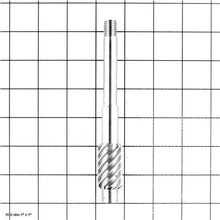 Load image into Gallery viewer, WORM GEAR
