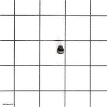 Load image into Gallery viewer, SET SCREW -DOG POINT
