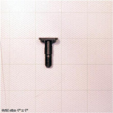 Load image into Gallery viewer, SHOULDER T-BOLT