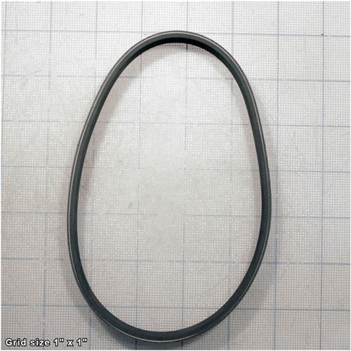 RIBBED BELT 170J6