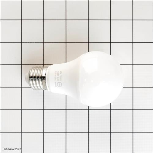 LIGHT BULB 220V