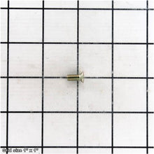 Load image into Gallery viewer, HINGE SCREW