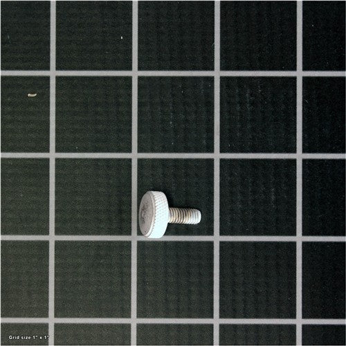 THUMB SCREW M6-1 X 10